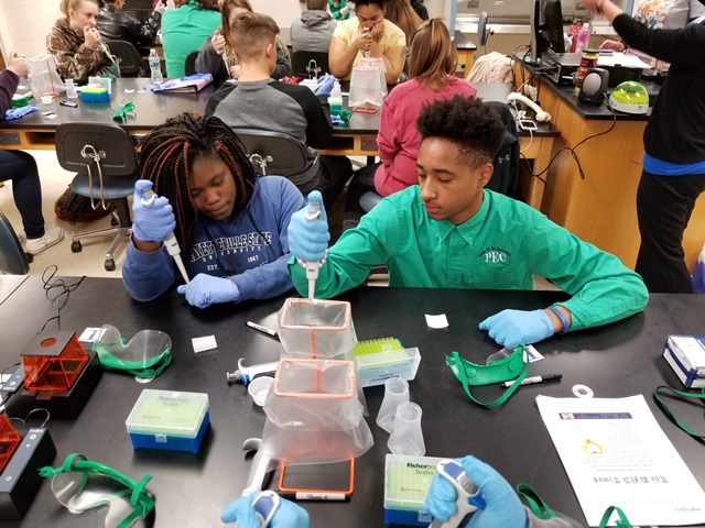 Yasmaine Rone and Kharon Gh'Rael – Person Early College for Innovation and Leadership students in PCC’s General Biology class