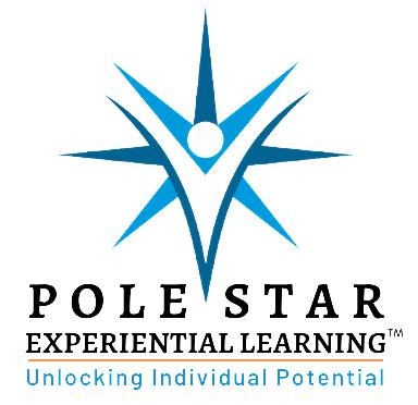 Polestar-white logo.png